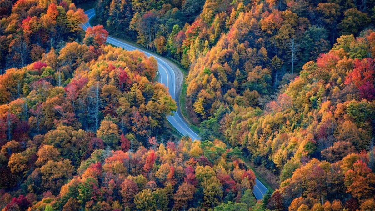 Romantic, Honeymoon Cabin In The Smokies! ガトリンバーグ エクステリア 写真
