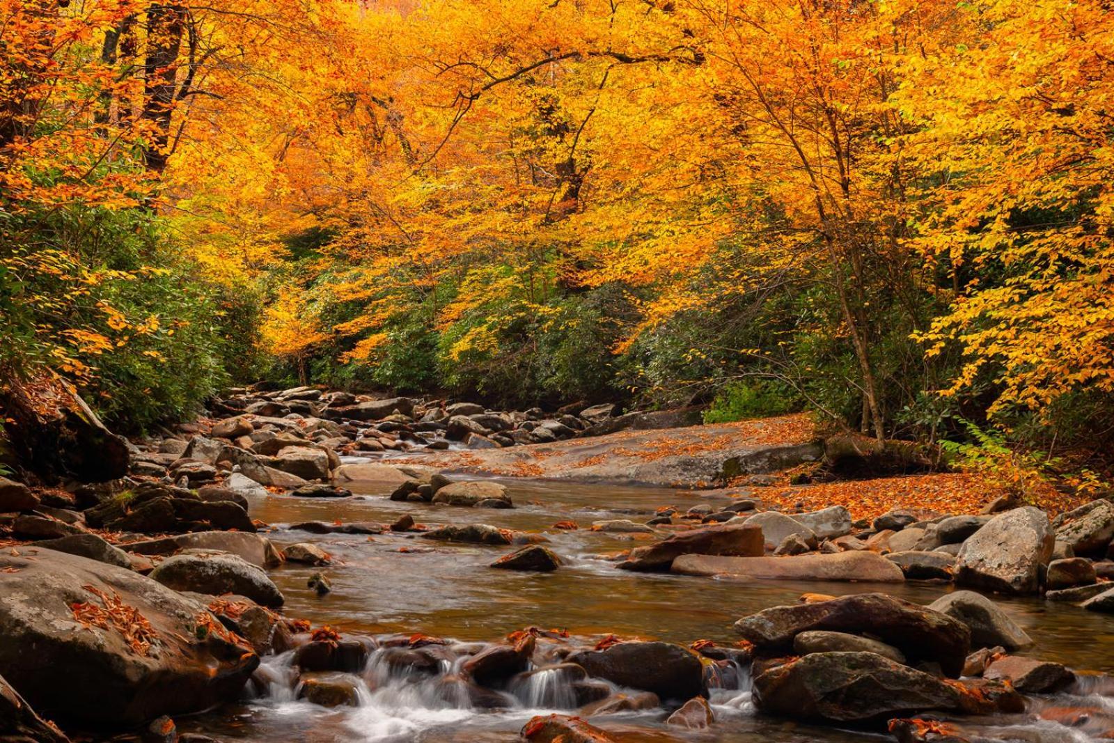Romantic, Honeymoon Cabin In The Smokies! ガトリンバーグ エクステリア 写真